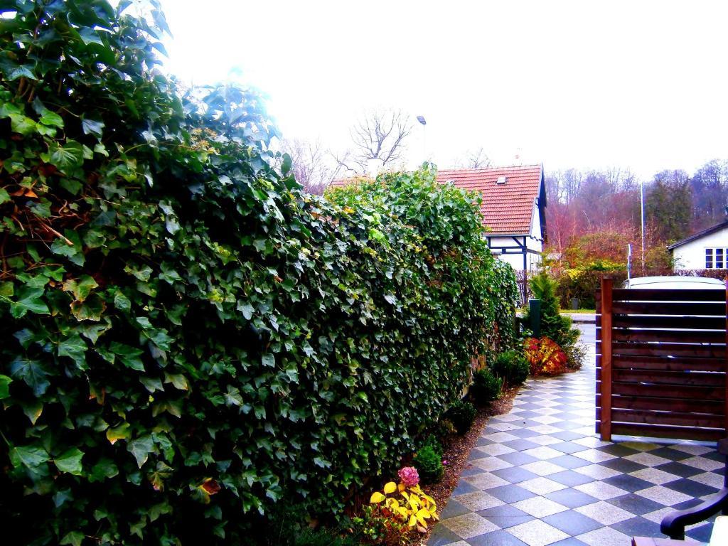 Helsingor Bed & Breakfast Esterno foto